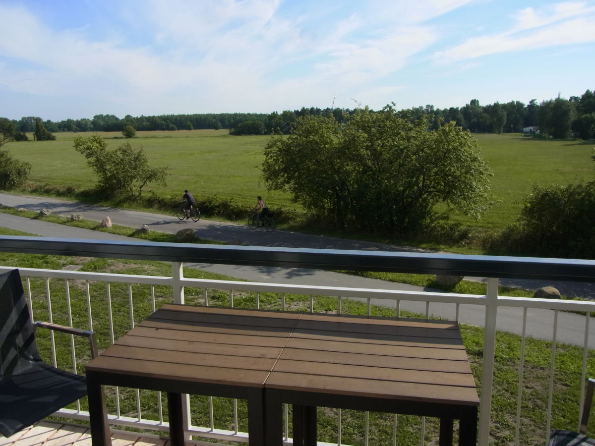 Blick auf den Dünenwald und die Umgebung der Ferienwohnung Sünnsiet in Dierhagen